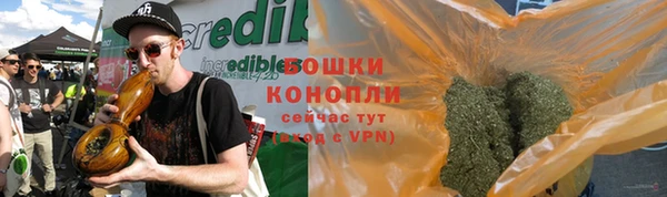 молекула духа Михайлов