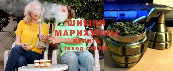 молекула духа Михайлов