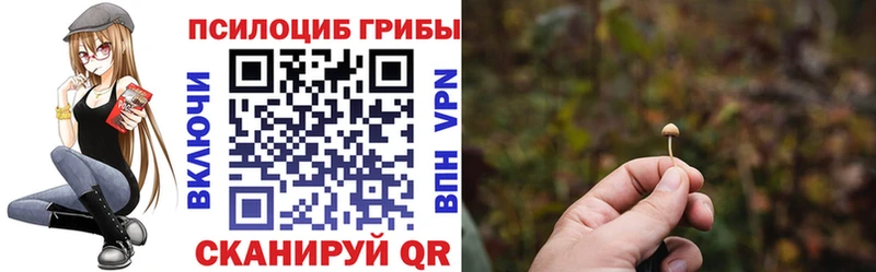 Псилоцибиновые грибы Cubensis  Феодосия 
