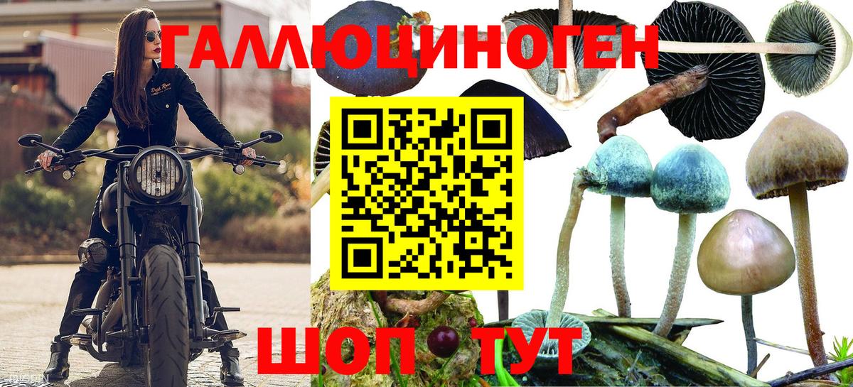 Псилоцибиновые грибы Magic Shrooms  купить наркотик  Феодосия  Вход с VPN 