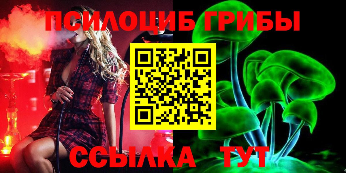 Псилоцибиновые грибы Psilocybine cubensis Феодосия