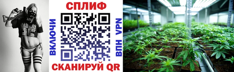 Шишки марихуана SATIVA & INDICA Феодосия